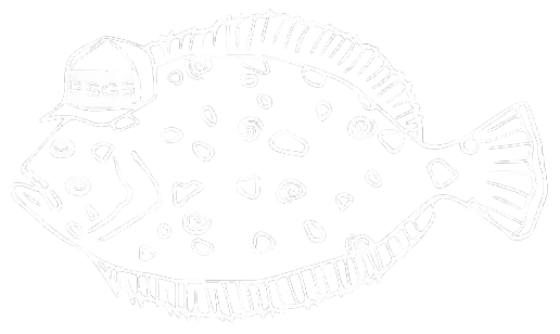 Following Seas Guide Service